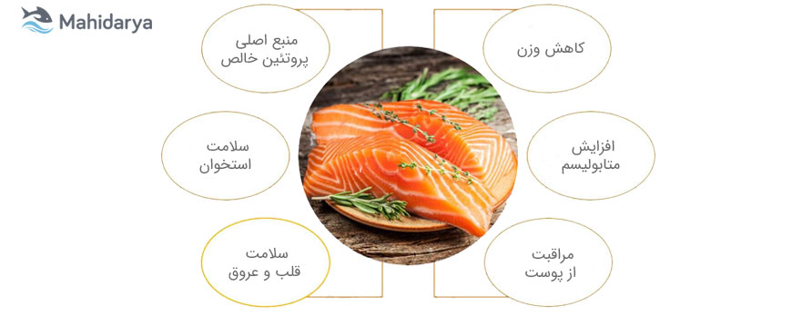  6خواص ماهی سالمون در سلامتی انسان